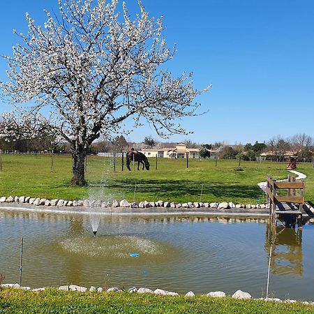 Domaine Christanna Panzió Lisle-sur-Tarn Kültér fotó