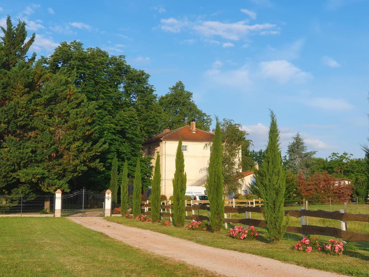 Domaine Christanna Panzió Lisle-sur-Tarn Kültér fotó