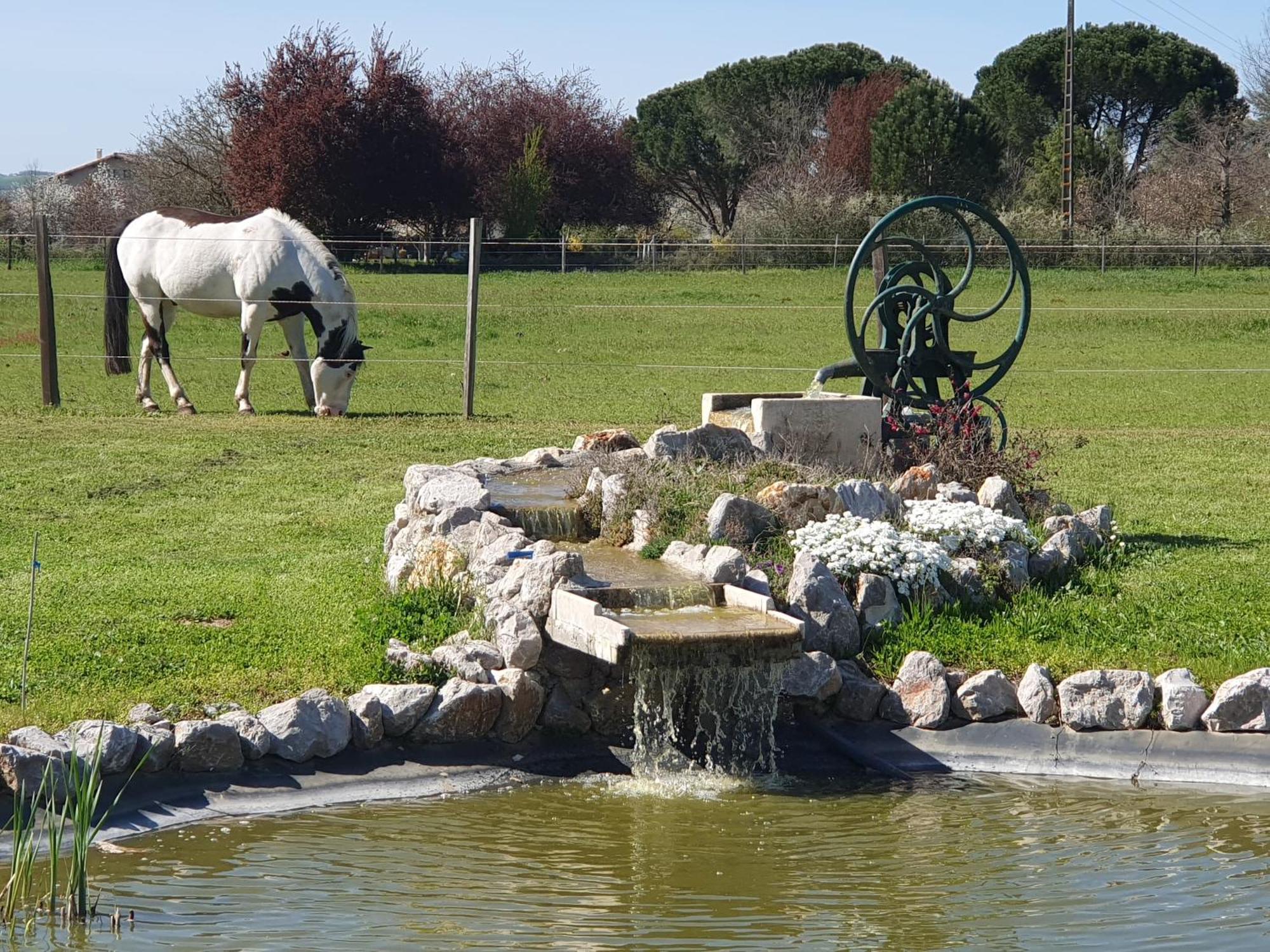 Domaine Christanna Panzió Lisle-sur-Tarn Kültér fotó