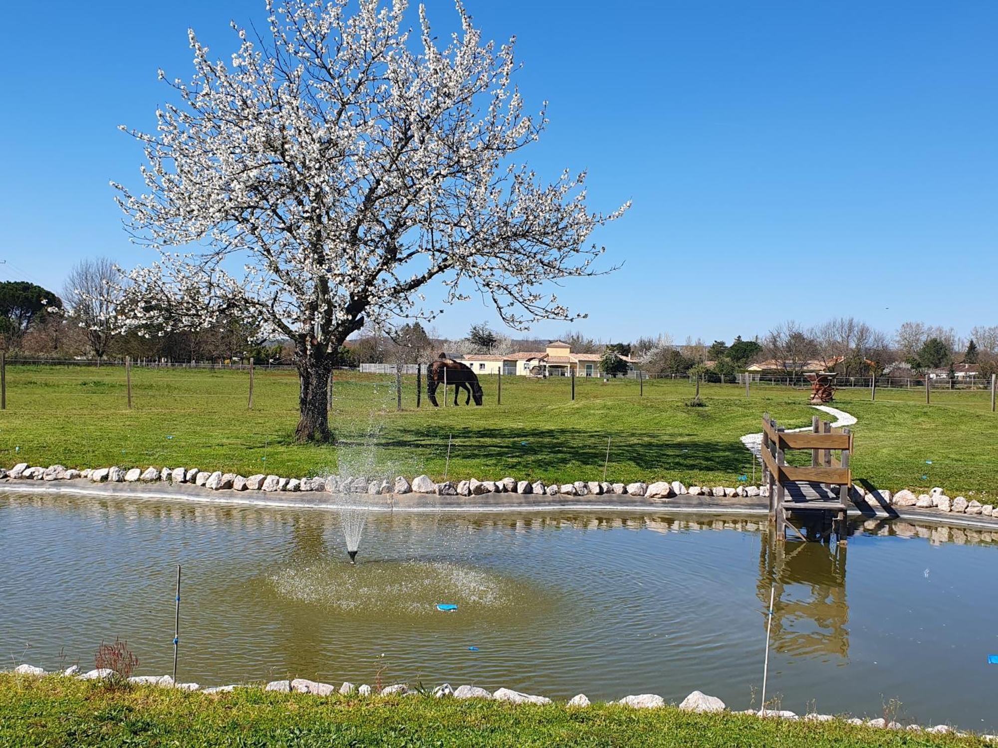 Domaine Christanna Panzió Lisle-sur-Tarn Kültér fotó